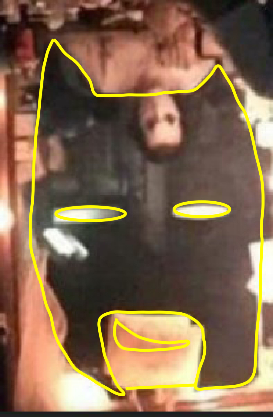 Do you see it now?