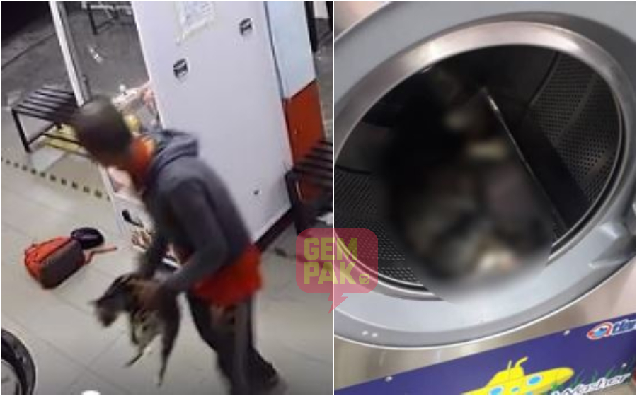 lelaki-kejam-bunuh-kucing-mesin-basuh.jpg