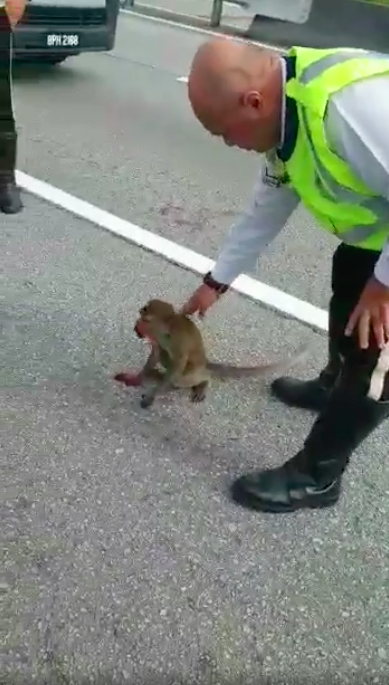 Abang polis to the rescue.