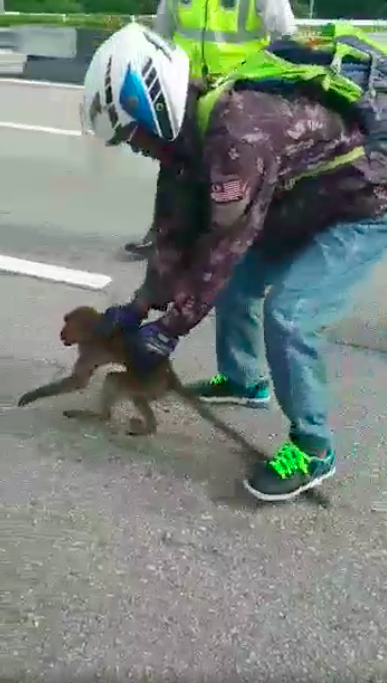 A good Samaritan to the rescue.