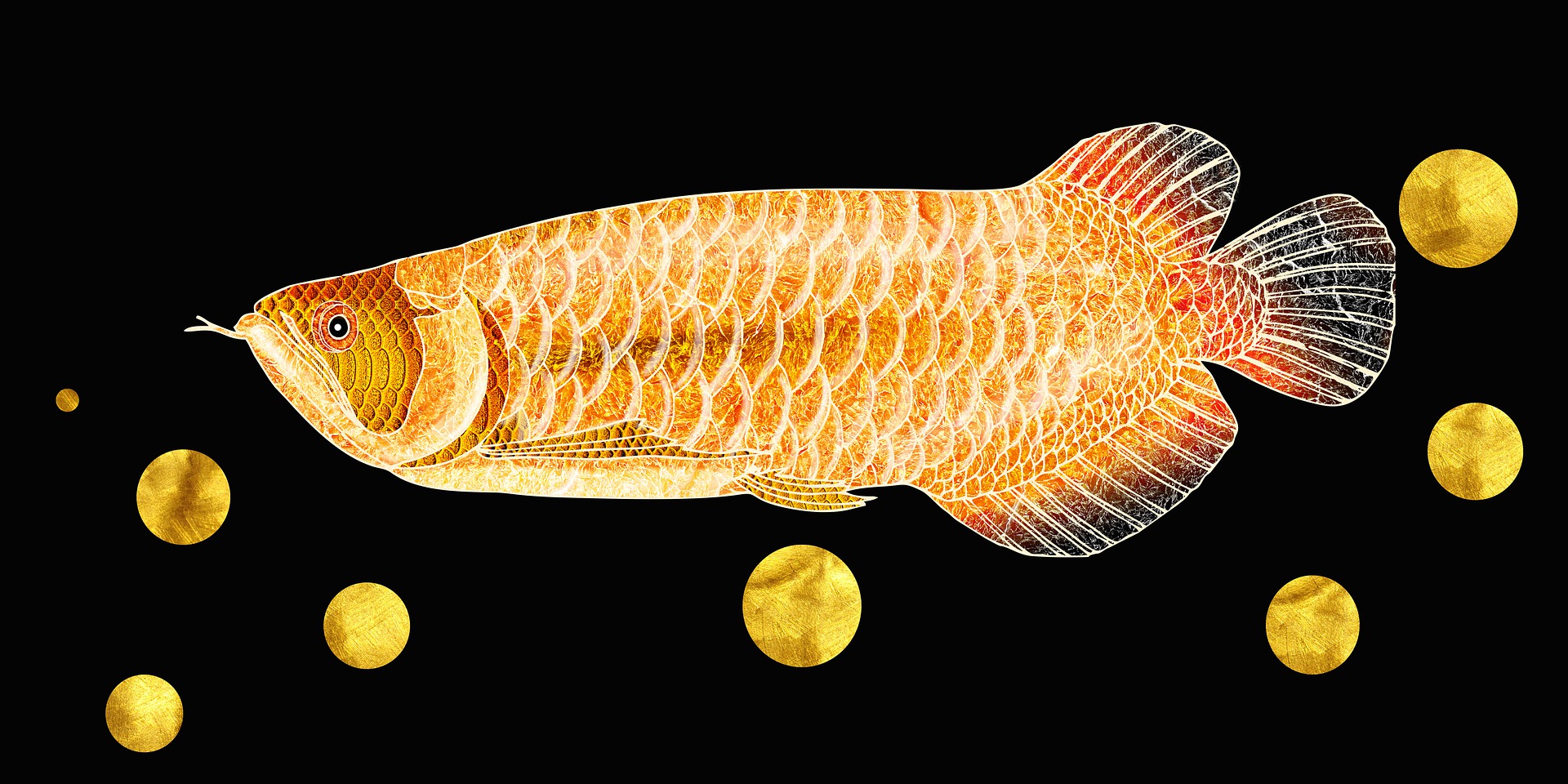 It is very well sought-after, this fish.