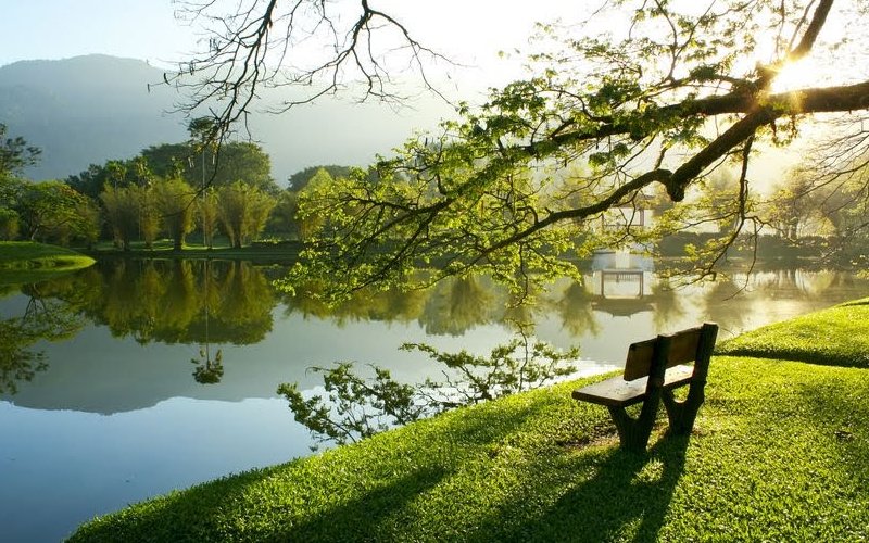 Ahh, so serene.