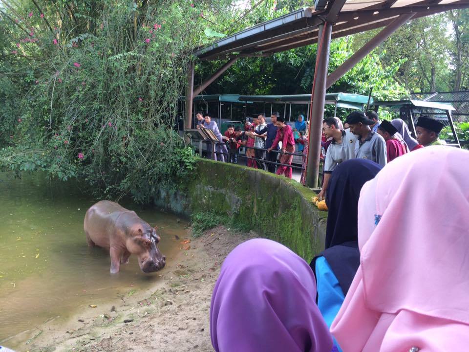 Go visit our animal friends, you guys.