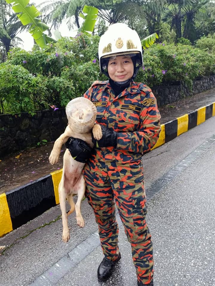 Facebook/Balai Bomba Dan Penyelamat Genting Highlands Kakak firefighter to the rescue.