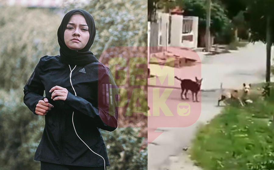 hawa-anjing-header.jpg
