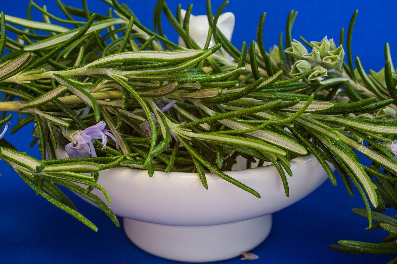 Rosemary has so many uses, you won't regret planting them