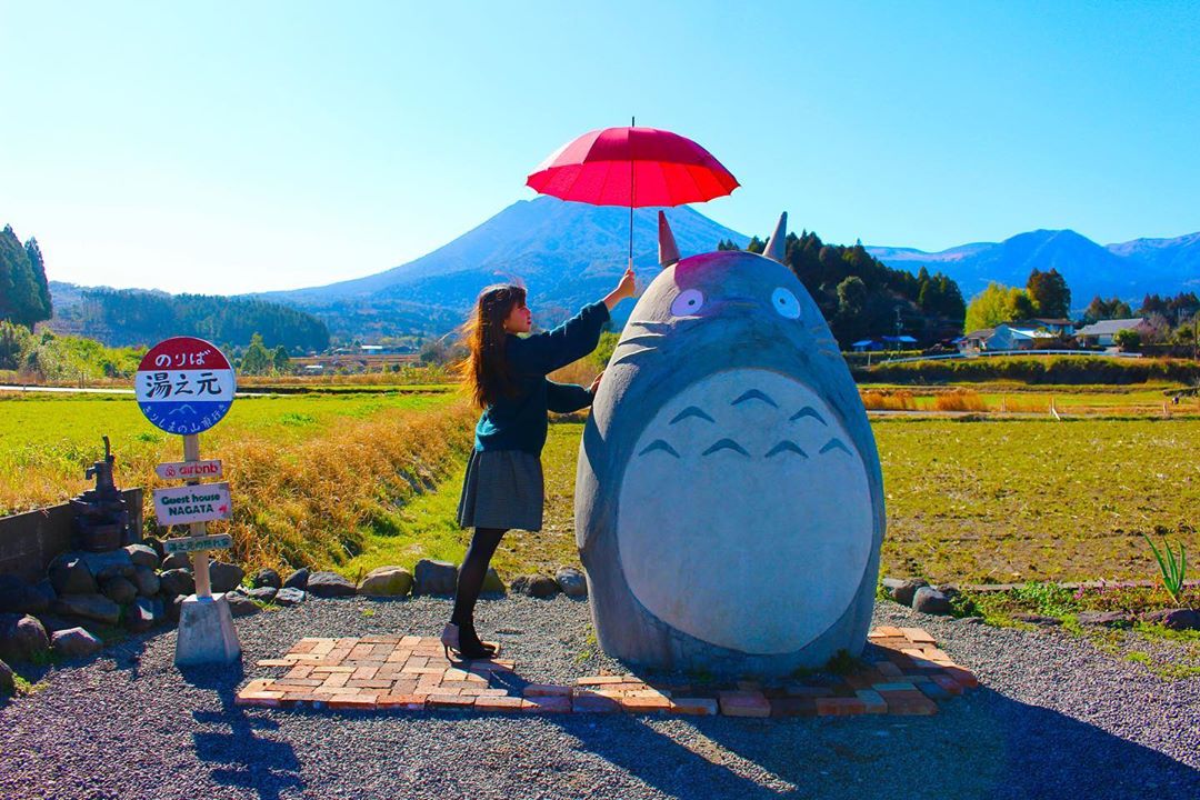 Need shelter, Totoro?