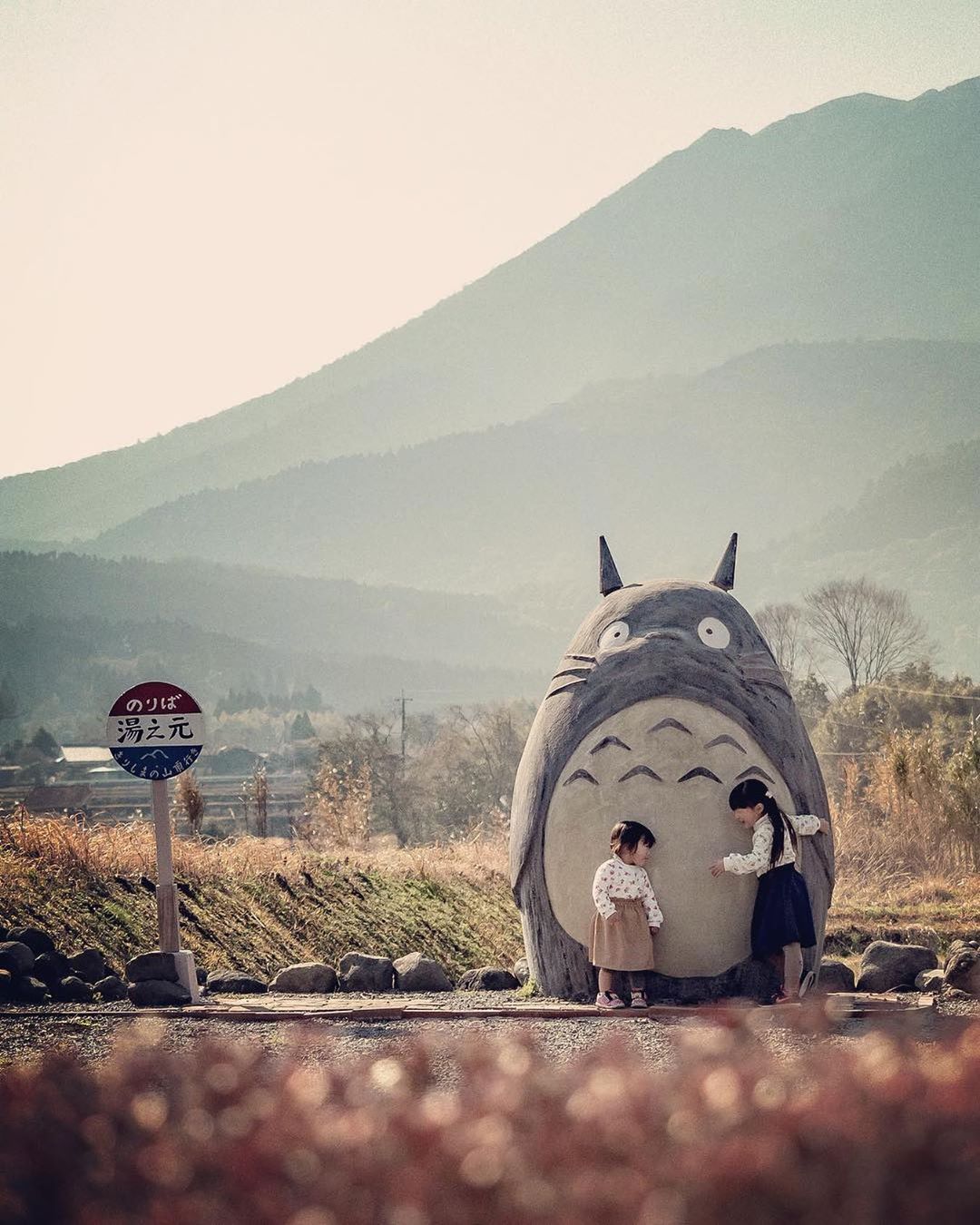 Children absolutely loved Totoro.