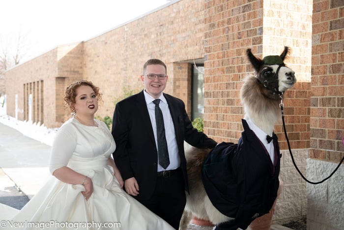 Aww, the llama looks so happy.