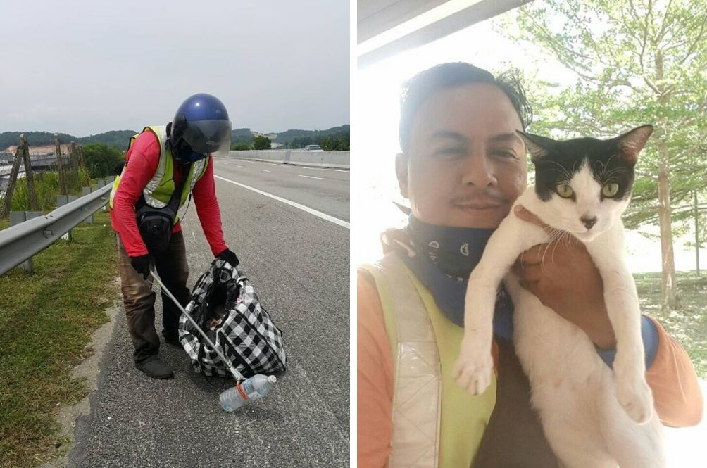 cat_1.jpg