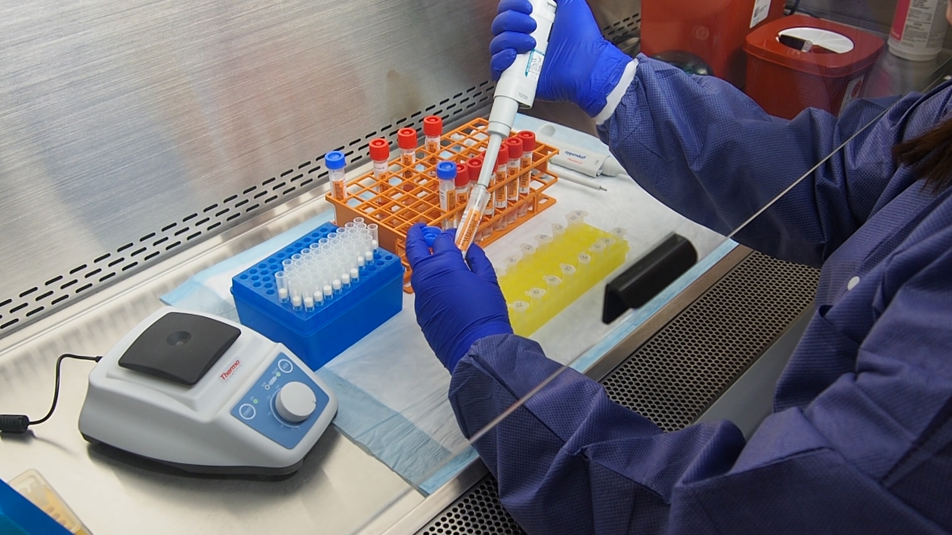 Private service testing, private pricing.