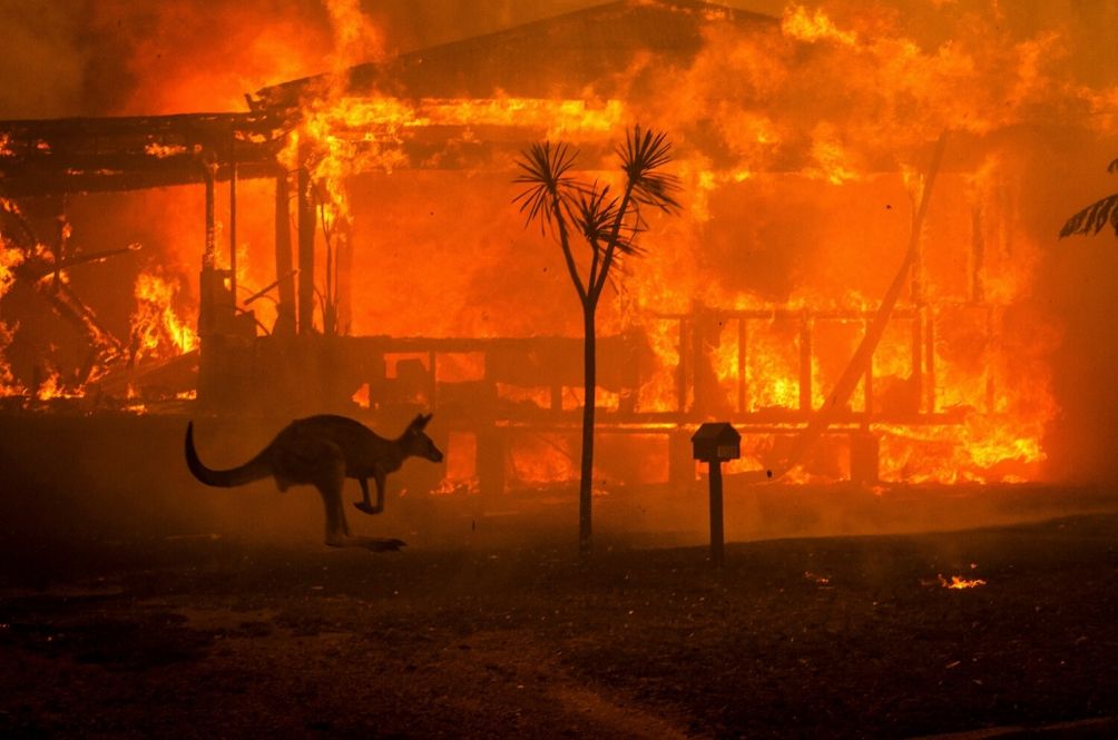 nswfire.jpg