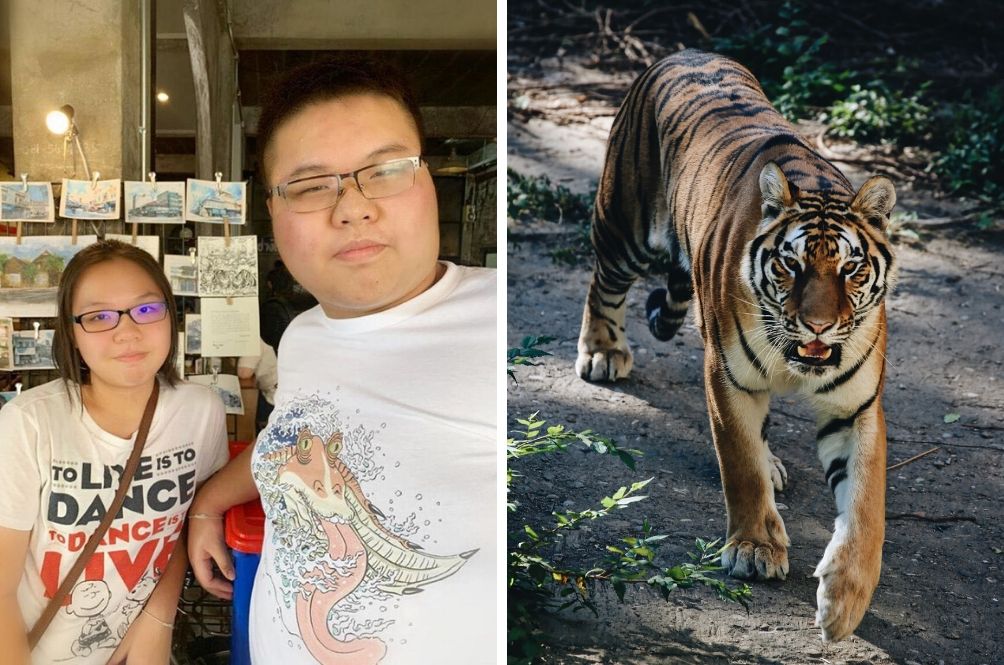 tiger.jpg