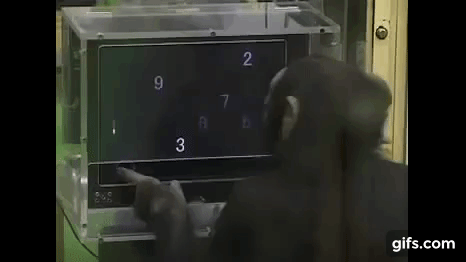 Live view of you entering your card details.