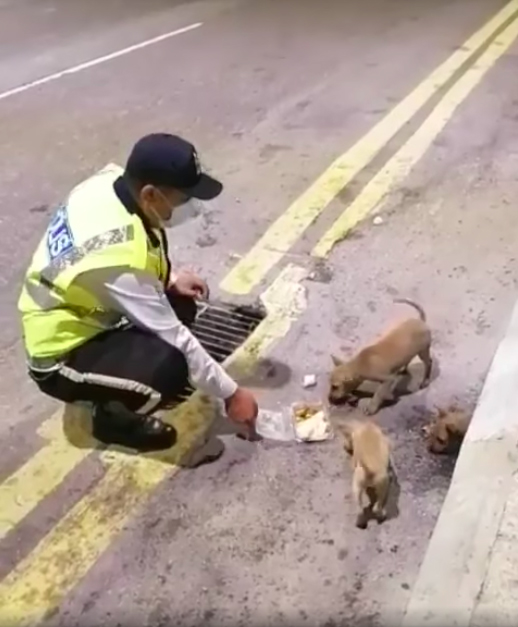 Thank you, abang polis!