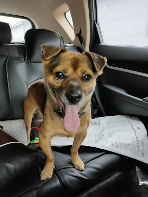 Xiaobao is now being cared after.