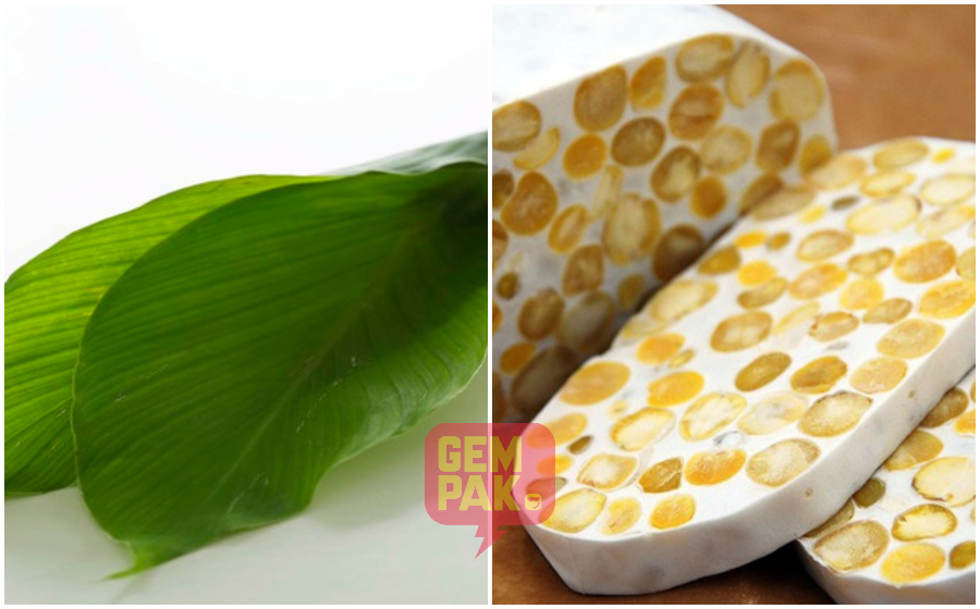 daun-kunyit-dan-tempe-tak-ada.jpg