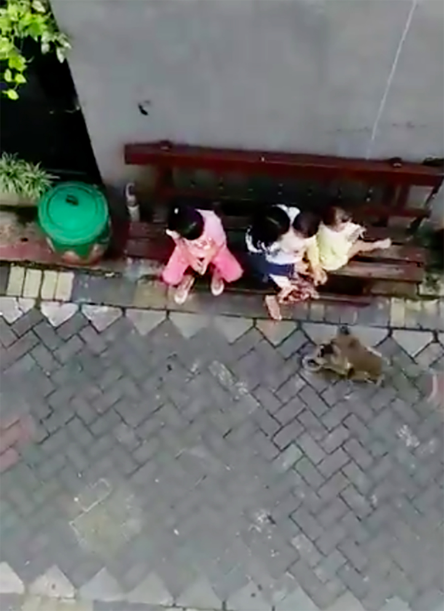 The monkey rolled up to a group of children.