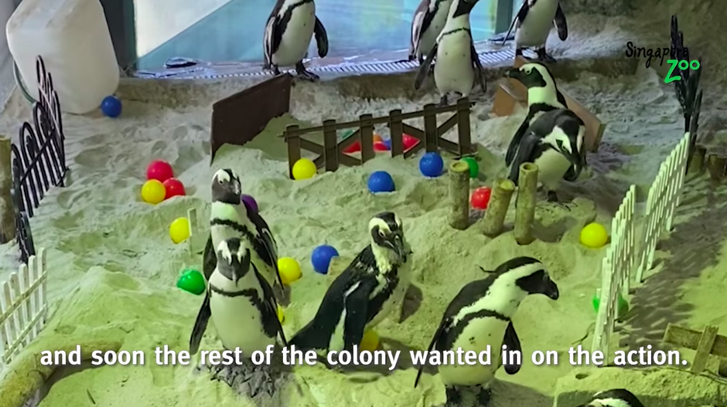 Fun for the whole gang.