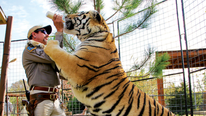 Joe Exotic feeding one of his big cats