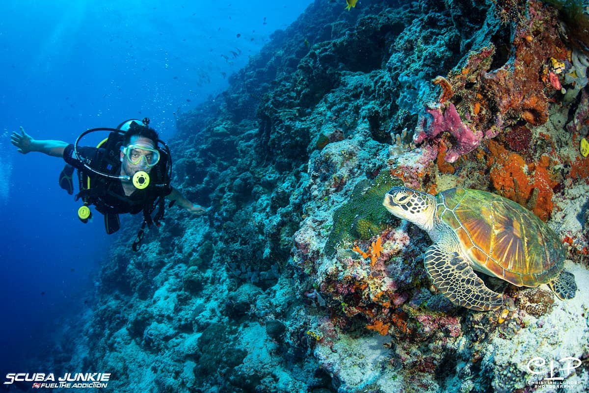 Malaysia is also one of the world's best diving sites.