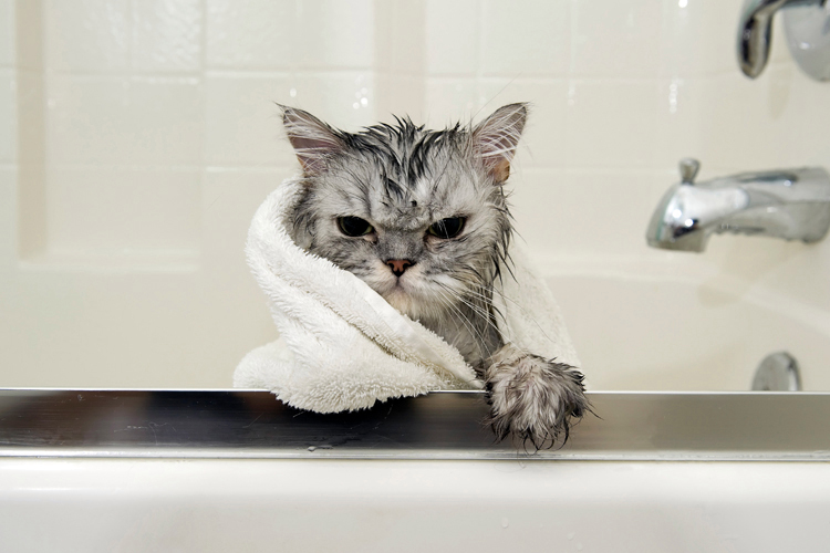 Angry but still cute.