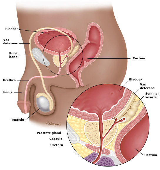 Know your body
