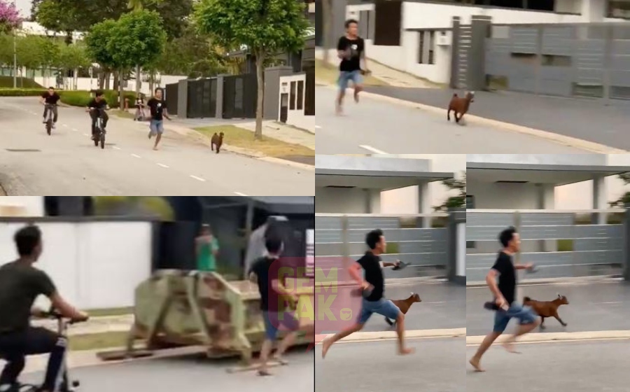 kam-(1).jpg