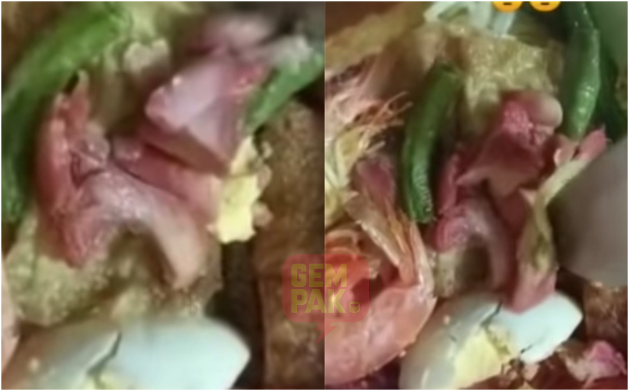 mee-kari-tiada-dna-babi.jpg