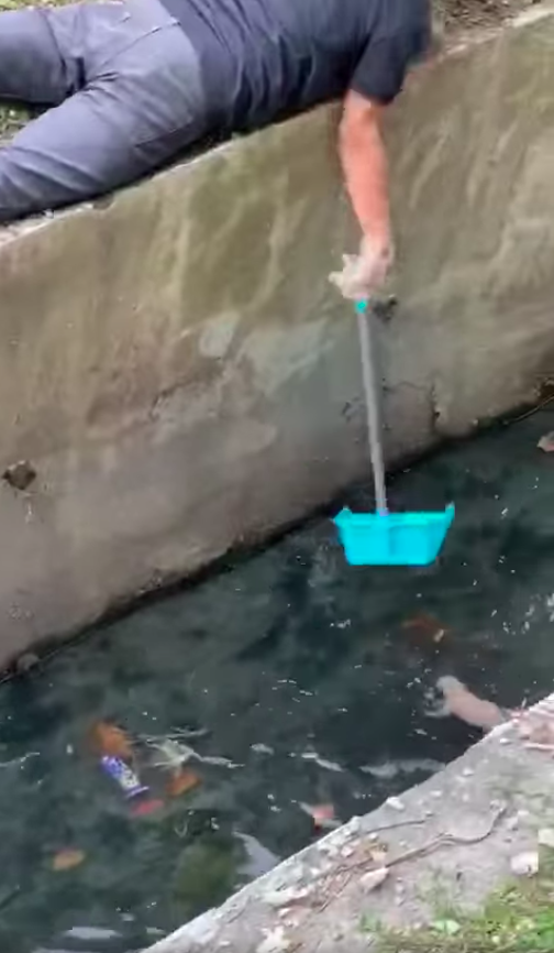 Operation rescue puppy.