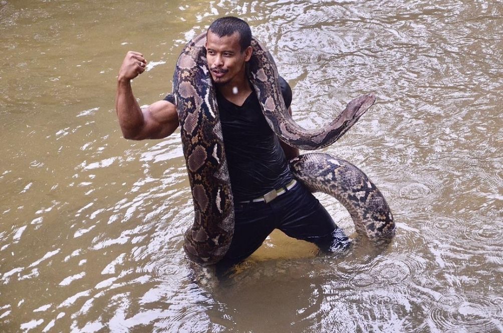snake-(1).jpg