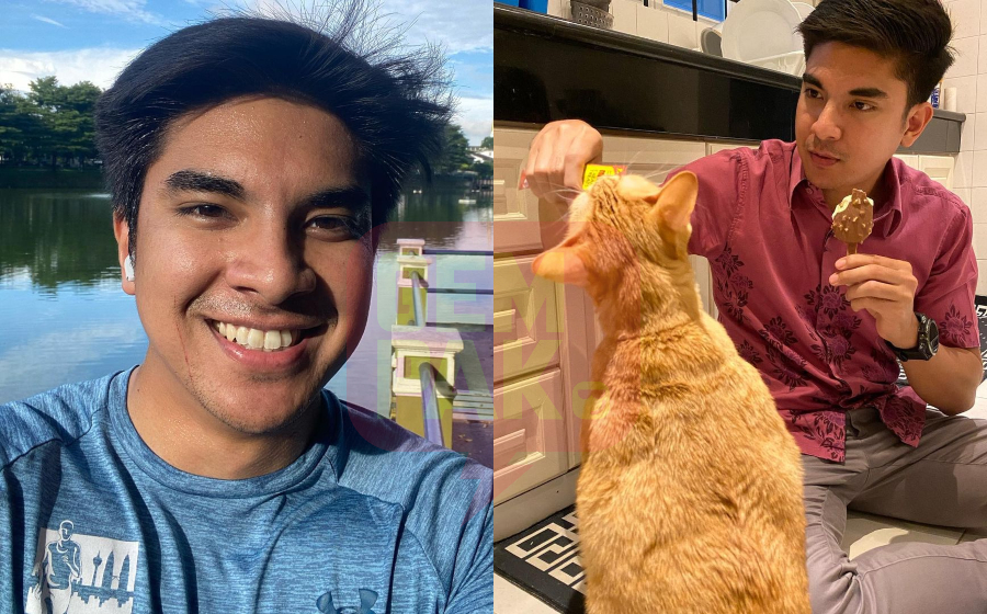 syed-kucing-header.jpg