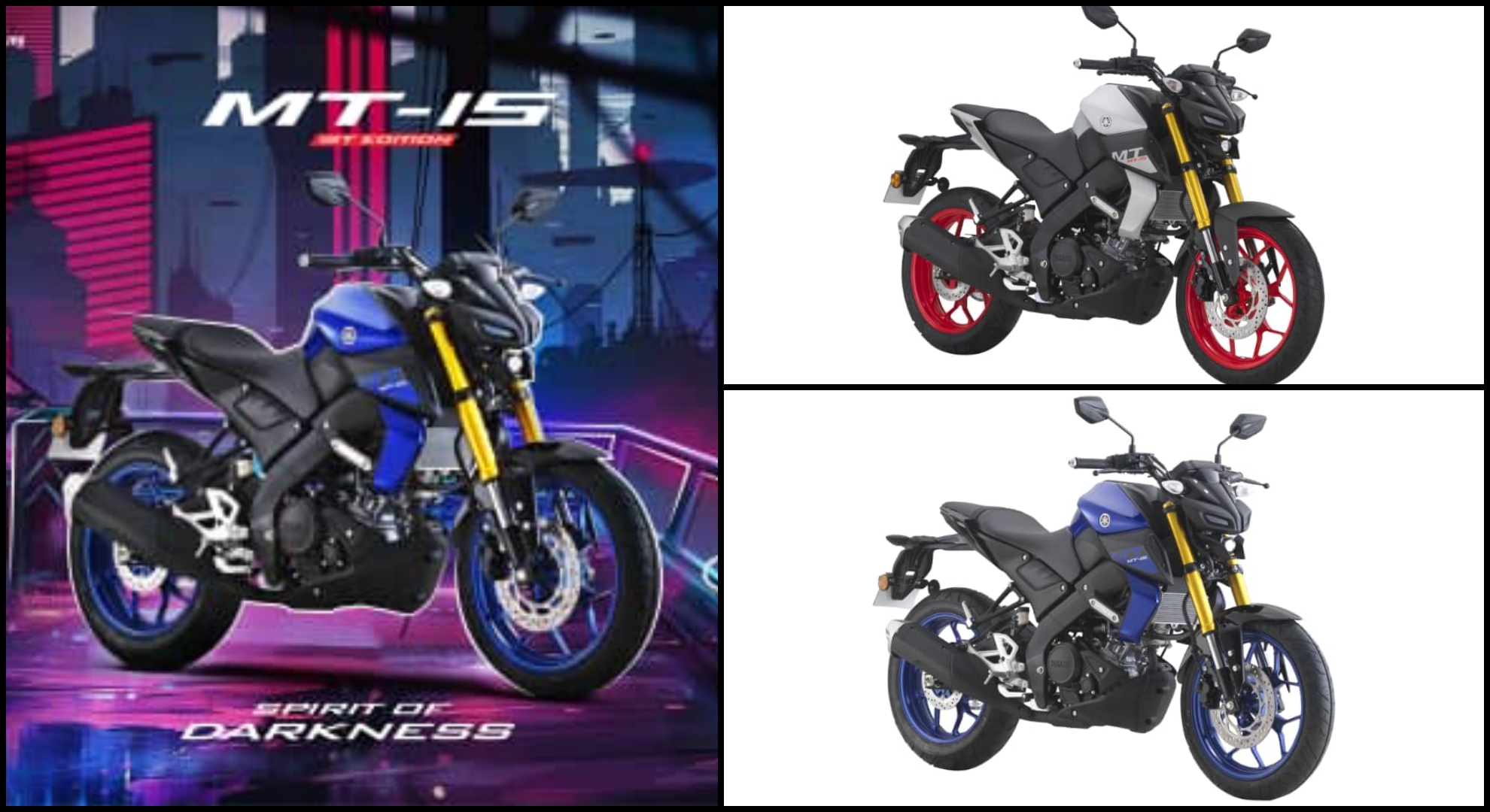 yamaha-mt-15-mi.jpg