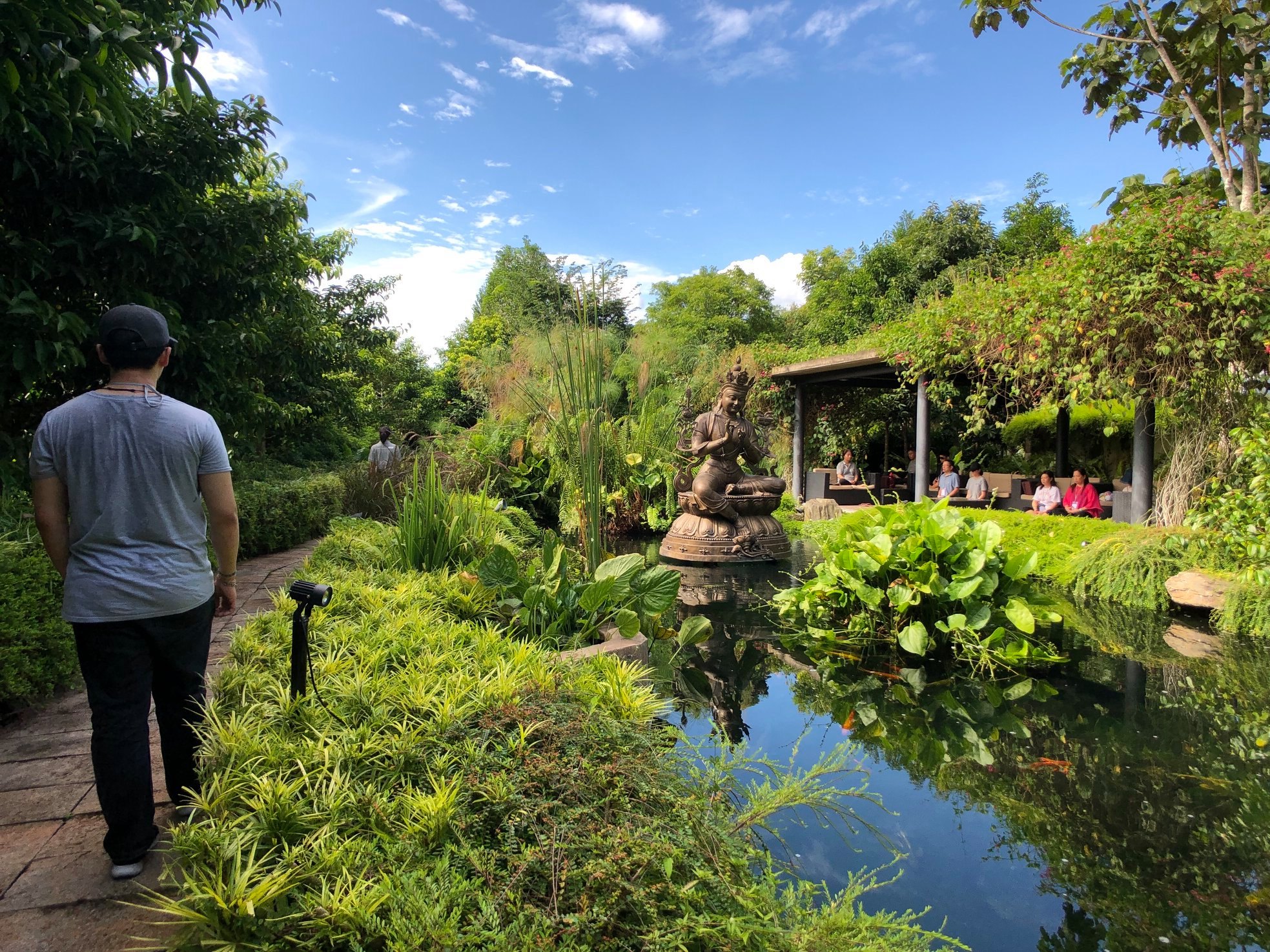 Reconnecting with nature