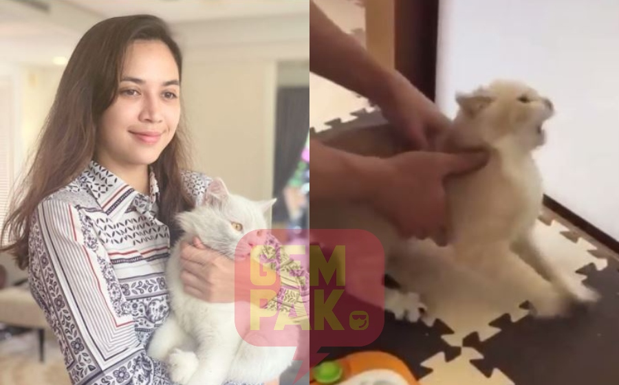 diana-danielle-kucing-sawan.jpg