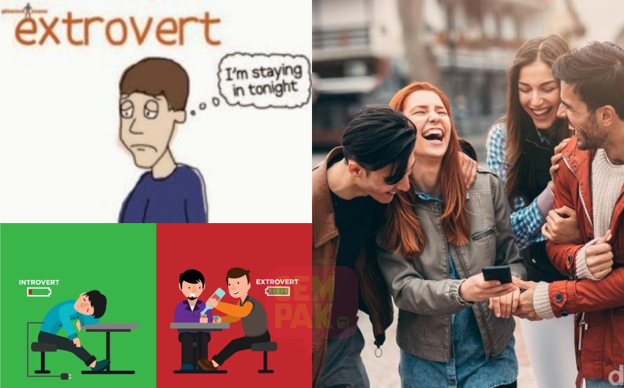 ekstr.jpg