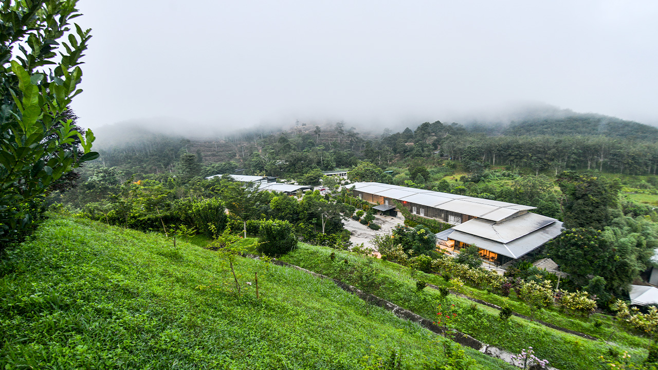 A little heaven on the hills