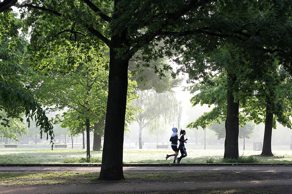 jogging-4211946_1920.jpg