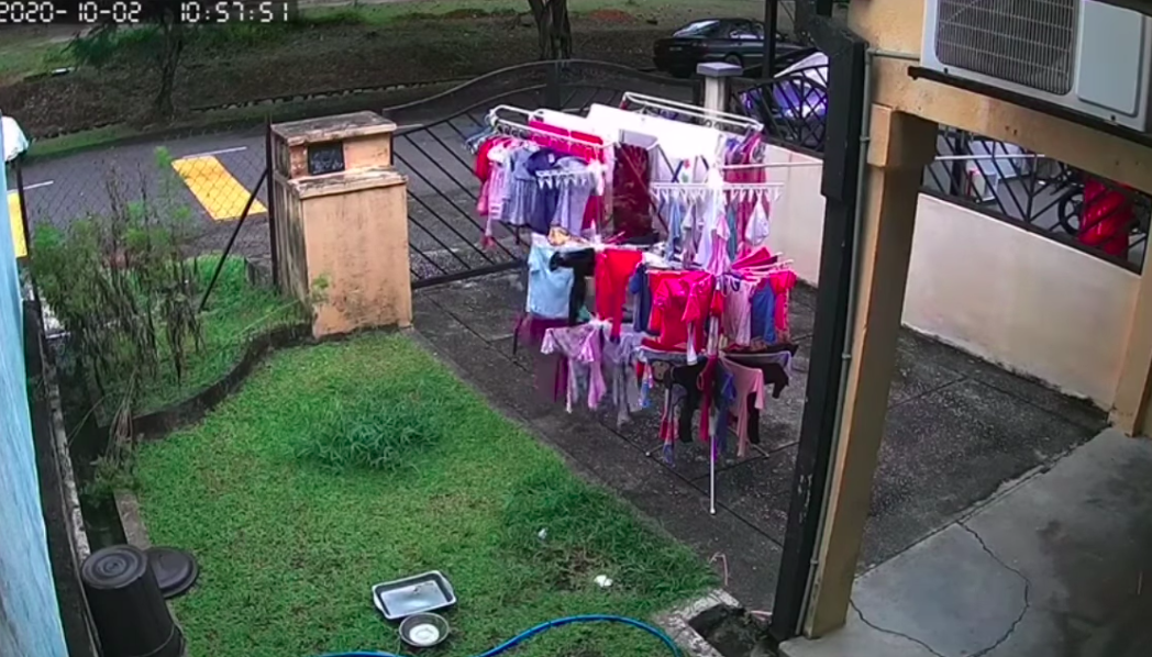 Don't we all wish we had a neighbour like him?