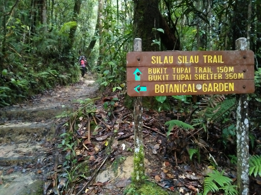 Stay clear of Kinabalu Park for now.