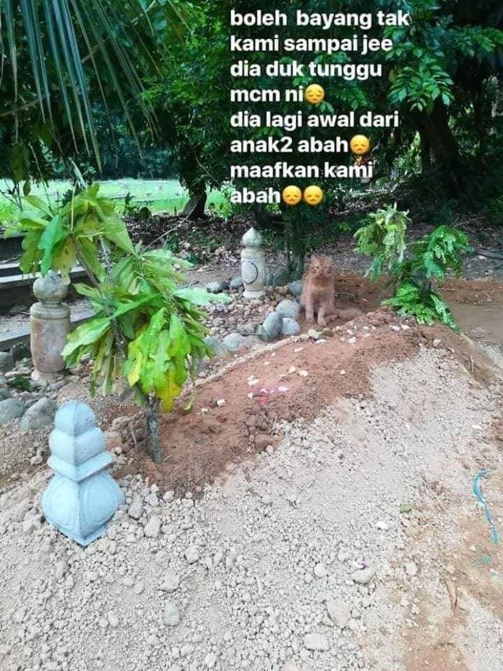 What a loyal cat :'(