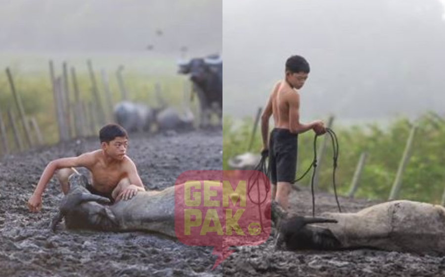 adik-syukor-kerbau-mati-mowgli-malaysia.jpg