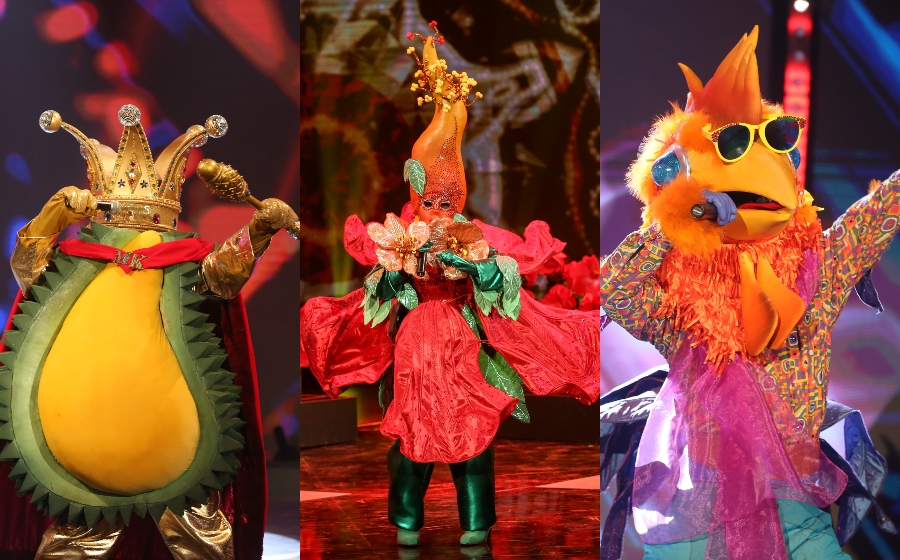 masked-singerrr.jpg