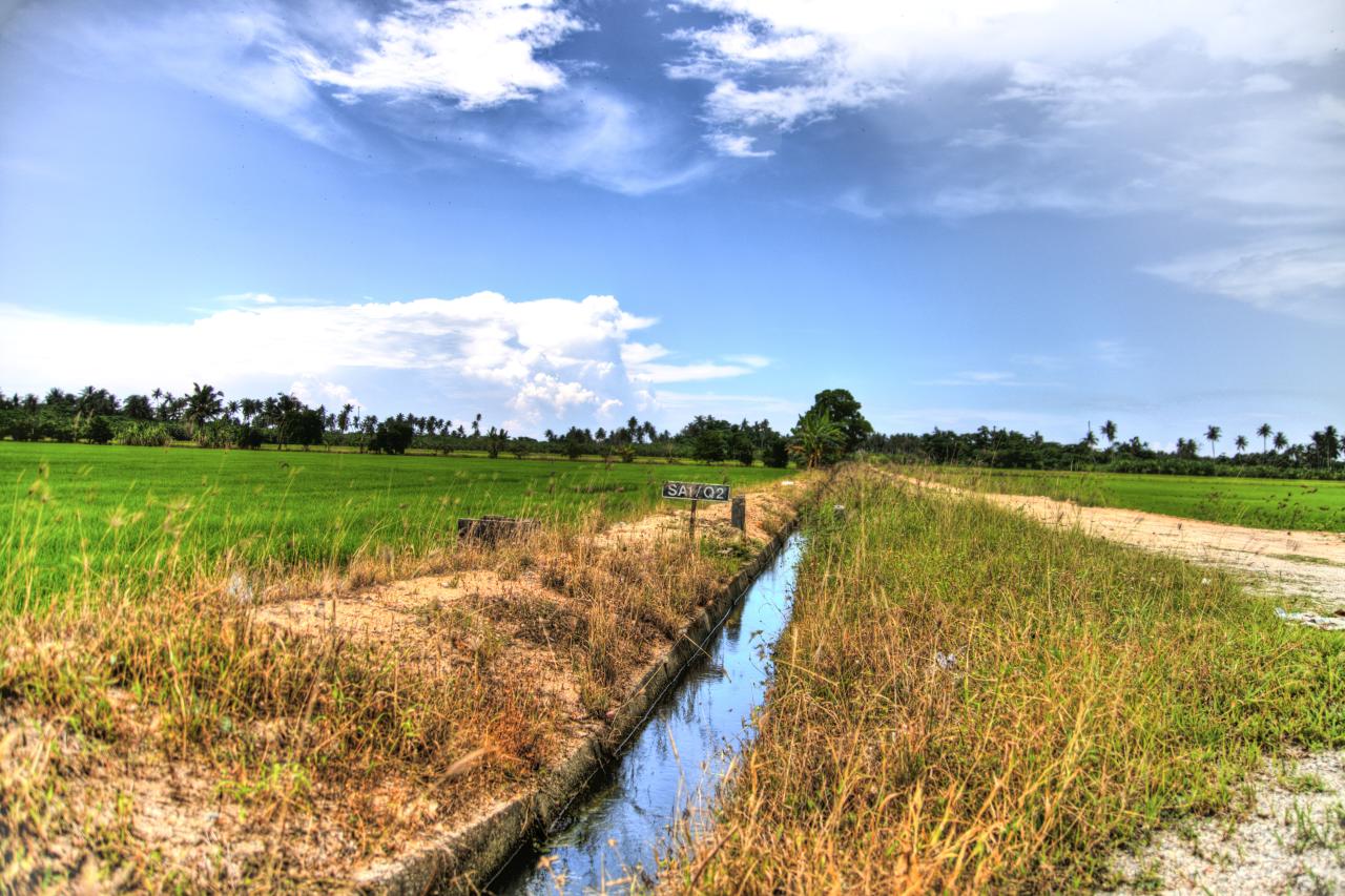 From paddy fields to beaches, Balik Pulau has it all