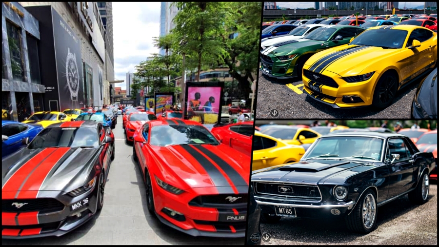 perhimpunan-ford-mustang-malaysia-mi_batch.jpg