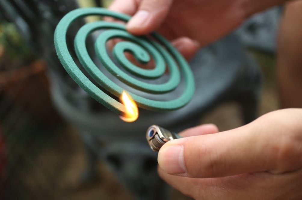 coils.jpg