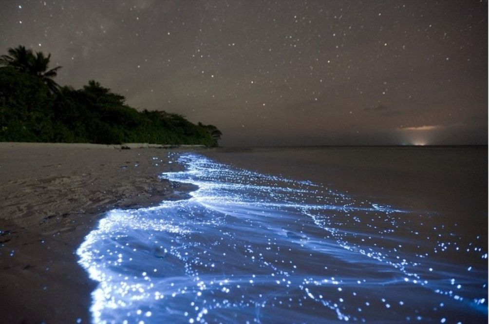 http___www-islandinmalaysia-com_pulau-sembilan_.jpg
