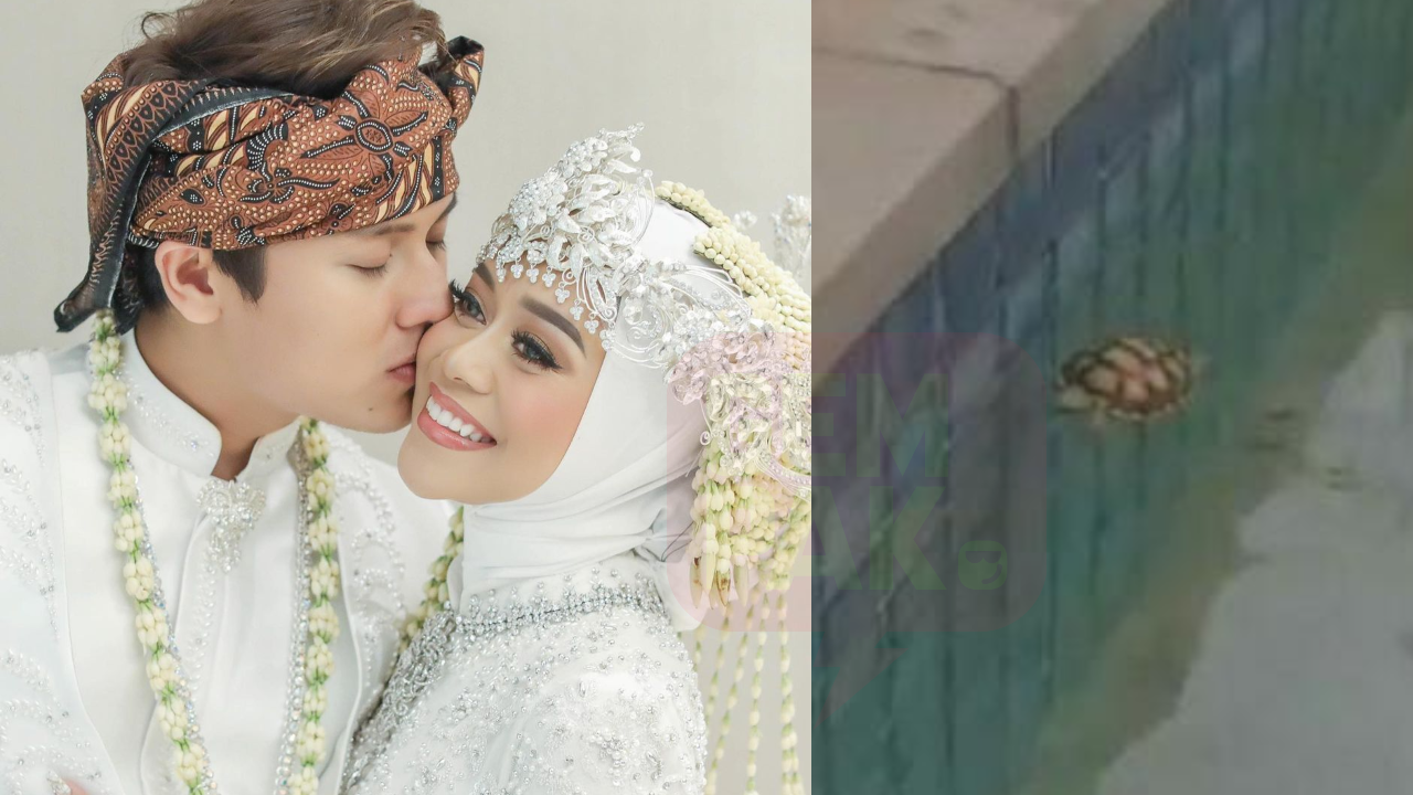 leslar-kurakura-header.png