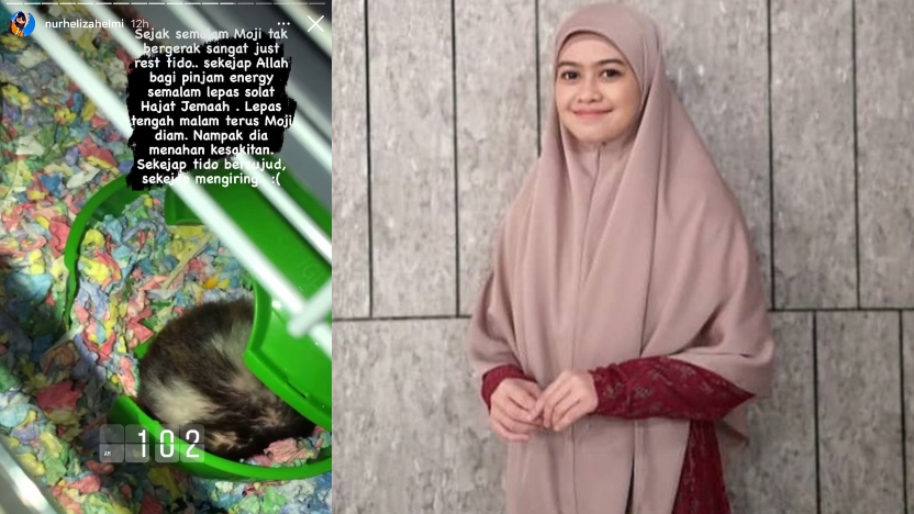 heliza_2.jpg