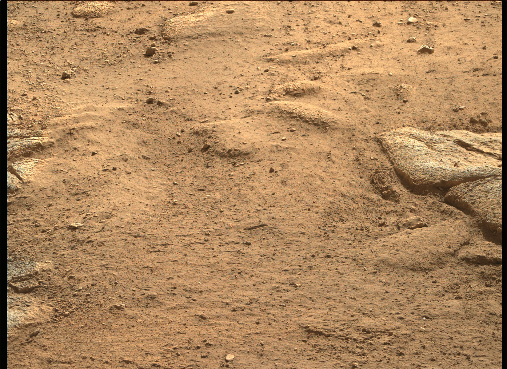 Doesn't look too different from earth, does it?